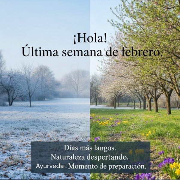 Edición Nº 4: Soltar lastre para florecer.