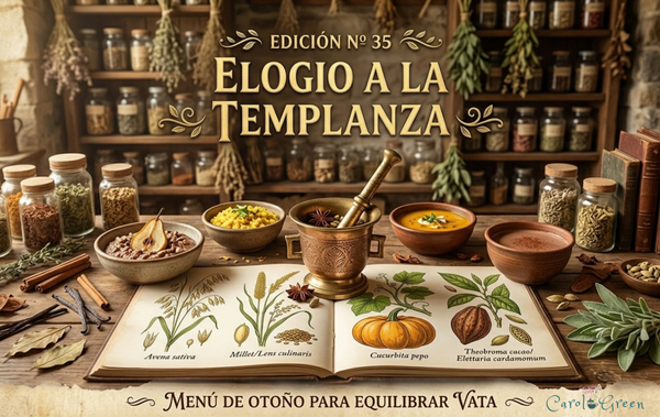 📜Edición Nº 35: Elogio a la Templanza 🌿🍁